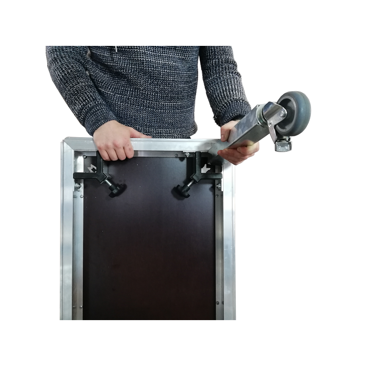 Load image into Gallery viewer, Mott Praktikus Light-Mott Mobile Systeme-Concert Gear